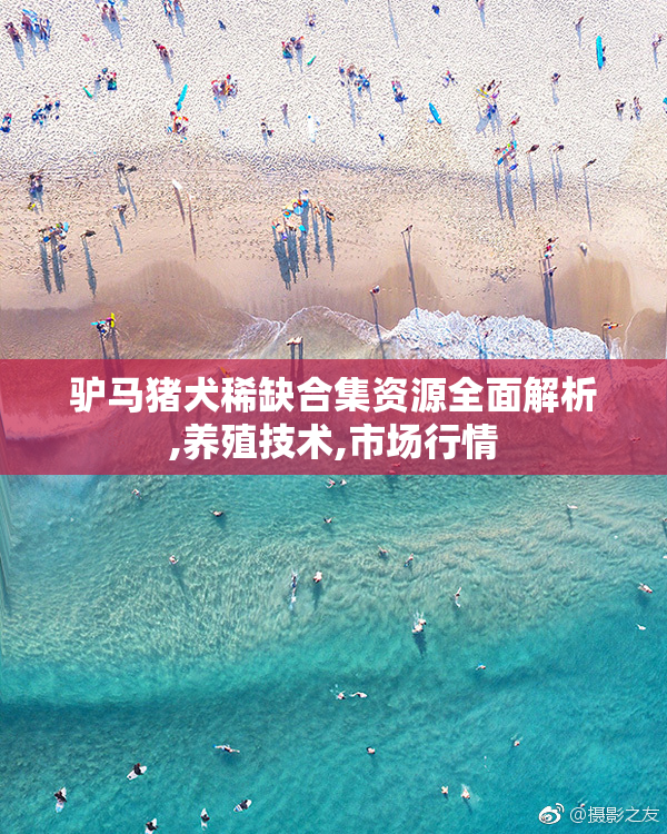 驴马猪犬稀缺合集资源全面解析,养殖技术,市场行情