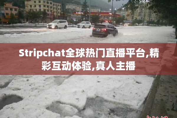 Stripchat全球热门直播平台,精彩互动体验,真人主播