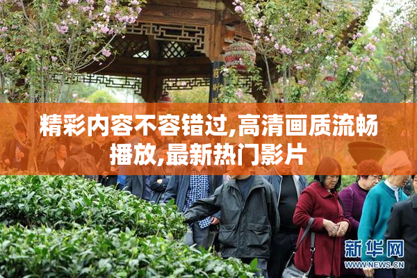 精彩内容不容错过,高清画质流畅播放,最新热门影片