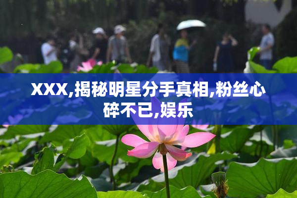 XXX,揭秘明星分手真相,粉丝心碎不已,娱乐