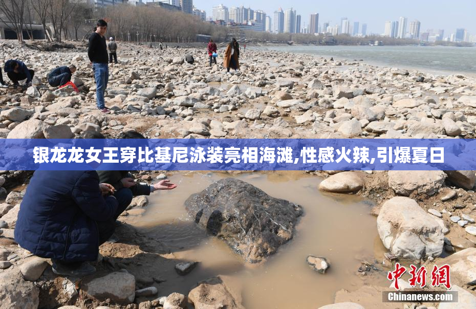 银龙龙女王穿比基尼泳装亮相海滩,性感火辣,引爆夏日