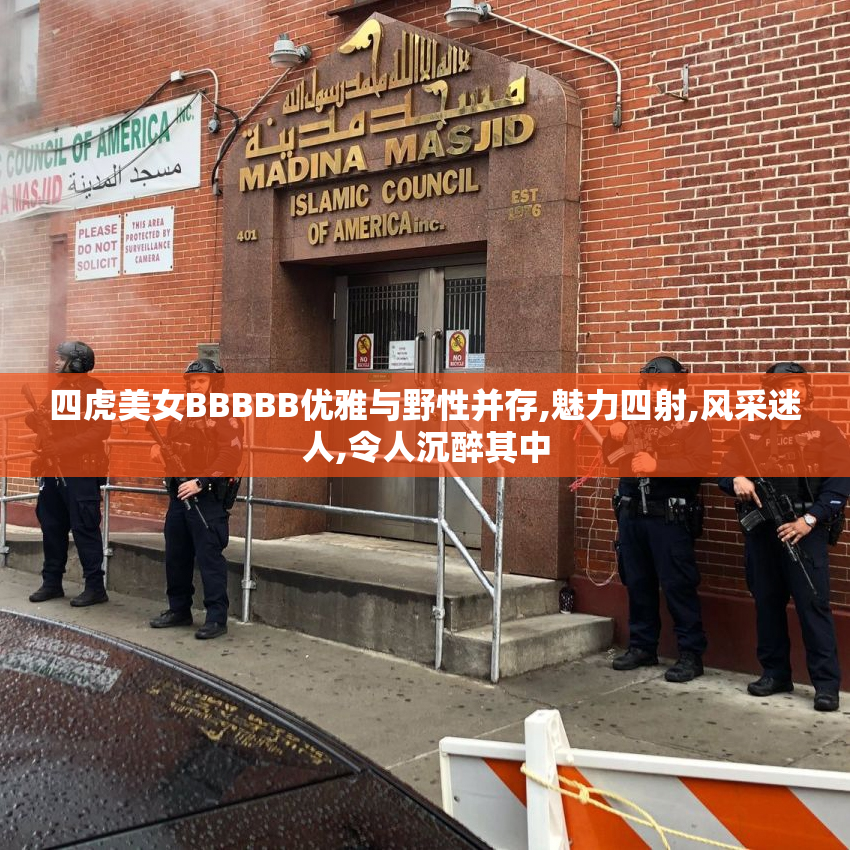 四虎美女BBBBB优雅与野性并存,魅力四射,风采迷人,令人沉醉其中