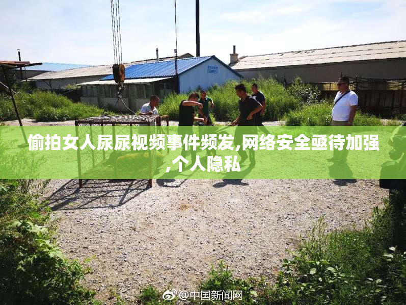 偷拍女人尿尿视频事件频发,网络安全亟待加强,个人隐私
