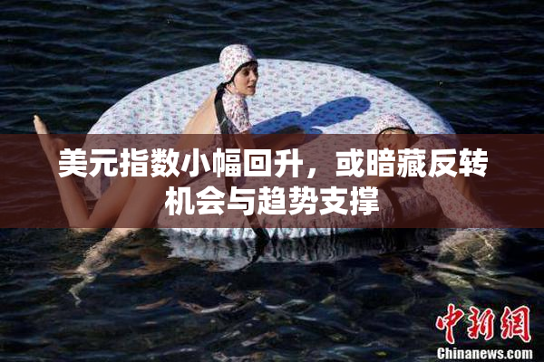 美元指数小幅回升，或暗藏反转机会与趋势支撑