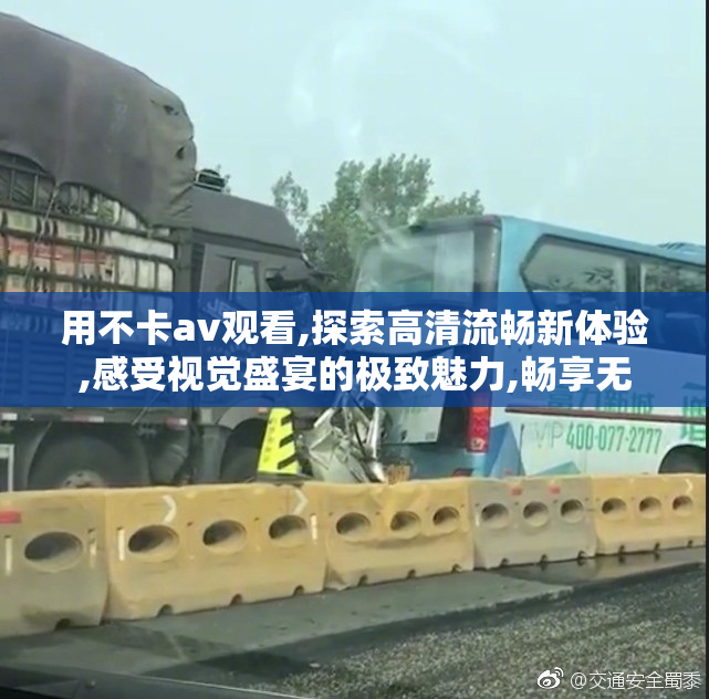 用不卡av观看,探索高清流畅新体验,感受视觉盛宴的极致魅力,畅享无