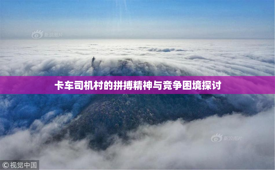 卡车司机村的拼搏精神与竞争困境探讨