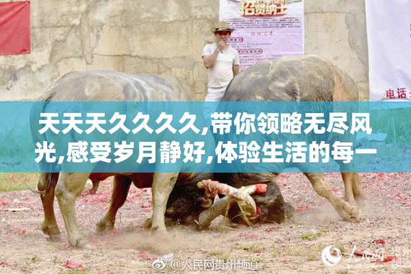 天天天久久久久,带你领略无尽风光,感受岁月静好,体验生活的每一份