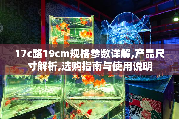 17c路19cm规格参数详解,产品尺寸解析,选购指南与使用说明