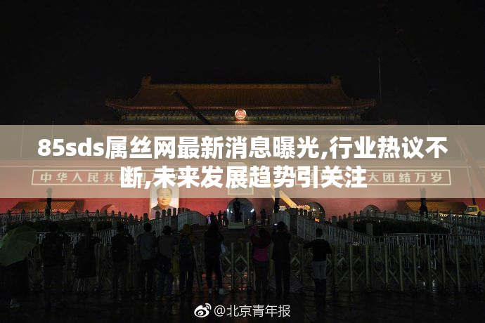 85sds属丝网最新消息曝光,行业热议不断,未来发展趋势引关注