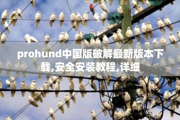 prohund中国版破解最新版本下载,安全安装教程,详细