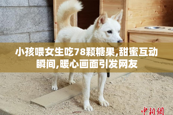 小孩喂女生吃78颗糖果,甜蜜互动瞬间,暖心画面引发网友