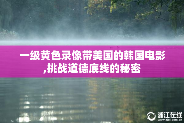 一级黄色录像带美国的韩国电影,挑战道德底线的秘密