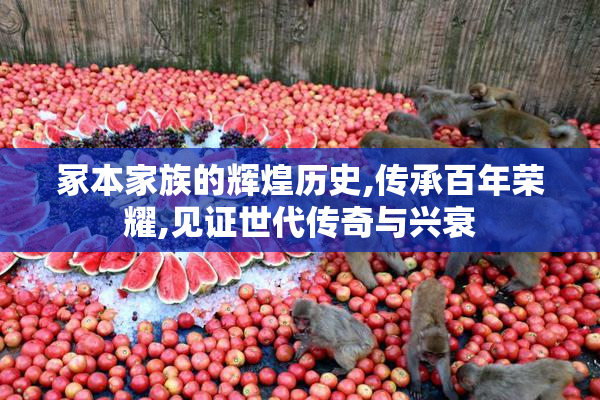冢本家族的辉煌历史,传承百年荣耀,见证世代传奇与兴衰