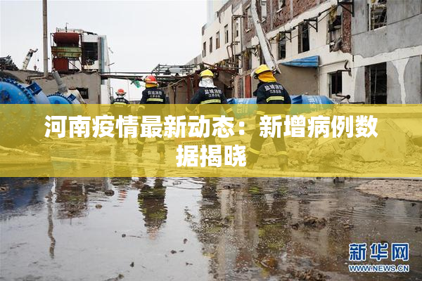 河南疫情最新动态：新增病例数据揭晓