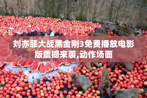 刘亦菲大战黑金刚3免费播放电影版震撼来袭,动作场面
