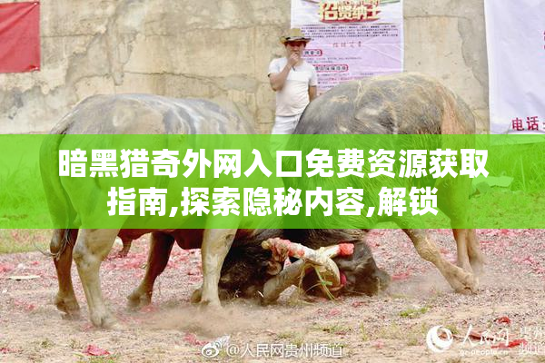 暗黑猎奇外网入口免费资源获取指南,探索隐秘内容,解锁