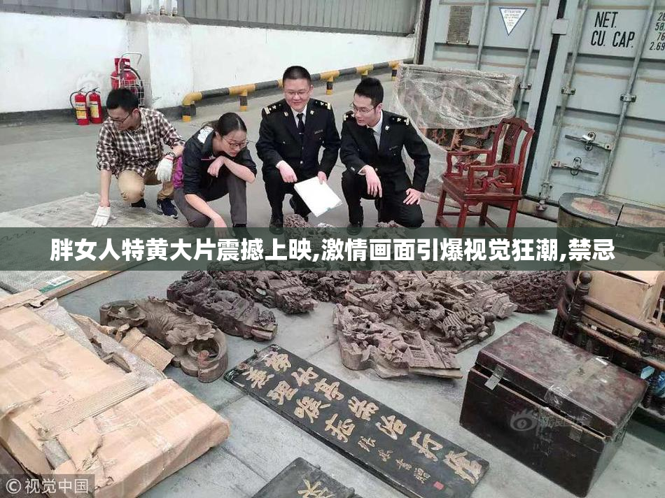胖女人特黄大片震撼上映,激情画面引爆视觉狂潮,禁忌