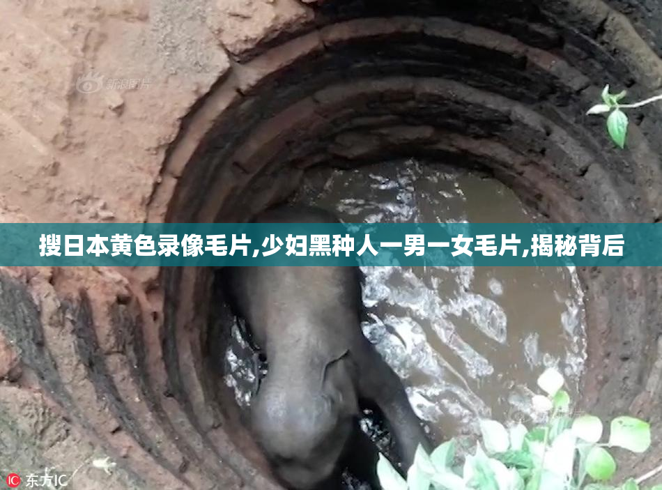 搜日本黄色录像毛片,少妇黑种人一男一女毛片,揭秘背后