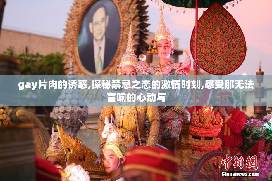 gay片肉的诱惑,探秘禁忌之恋的激情时刻,感受那无法言喻的心动与