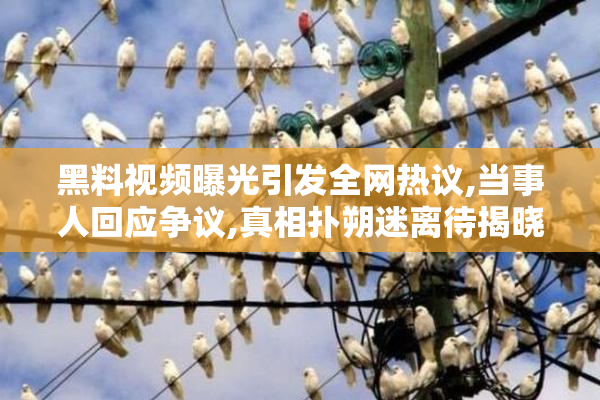 黑料视频曝光引发全网热议,当事人回应争议,真相扑朔迷离待揭晓