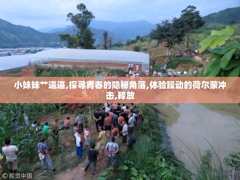 小妹妹艹逼逼,探寻青春的隐秘角落,体验躁动的荷尔蒙冲击,释放
