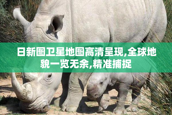 日新图卫星地图高清呈现,全球地貌一览无余,精准捕捉