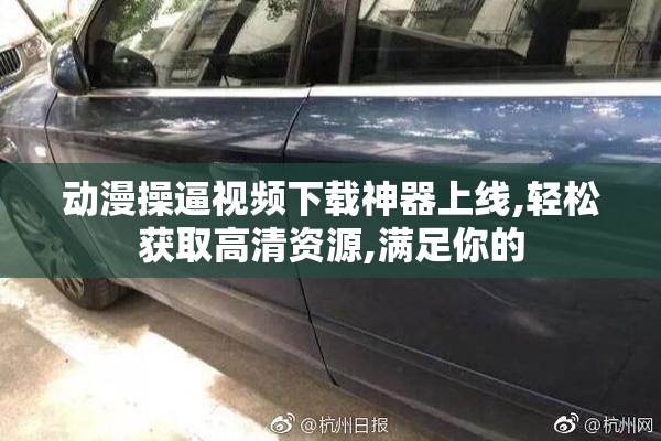 动漫操逼视频下载神器上线,轻松获取高清资源,满足你的