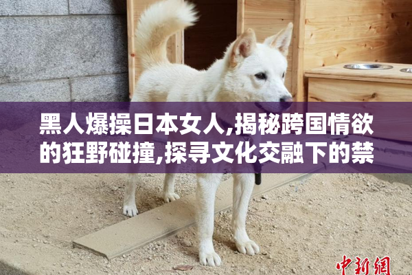 黑人爆操日本女人,揭秘跨国情欲的狂野碰撞,探寻文化交融下的禁忌