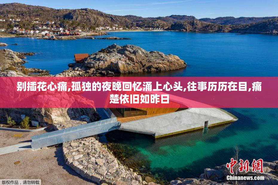 别插花心痛,孤独的夜晚回忆涌上心头,往事历历在目,痛楚依旧如昨日