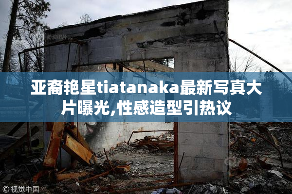 亚裔艳星tiatanaka最新写真大片曝光,性感造型引热议
