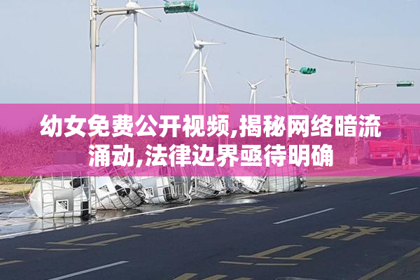 幼女免费公开视频,揭秘网络暗流涌动,法律边界亟待明确