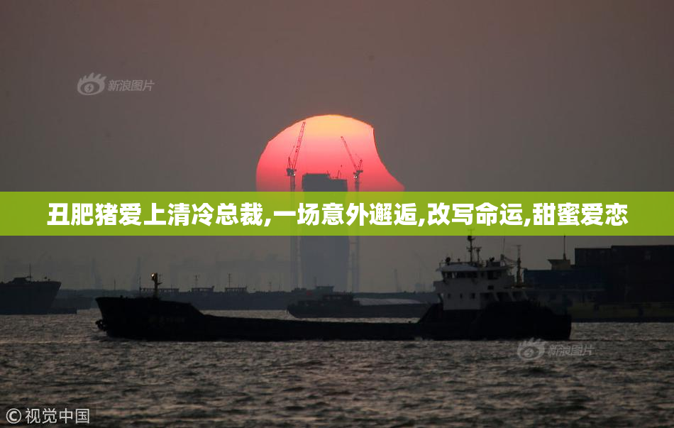丑肥猪爱上清冷总裁,一场意外邂逅,改写命运,甜蜜爱恋