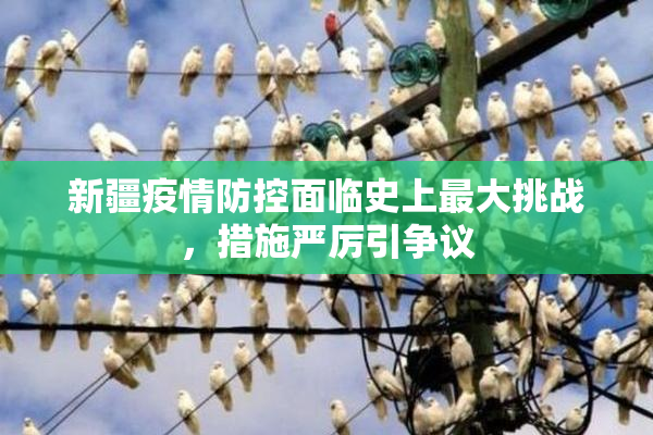 新疆疫情防控面临史上最大挑战，措施严厉引争议