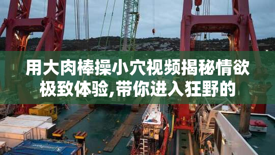 用大肉棒操小穴视频揭秘情欲极致体验,带你进入狂野的