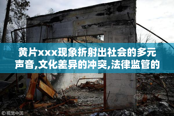 黄片xxx现象折射出社会的多元声音,文化差异的冲突,法律监管的空白