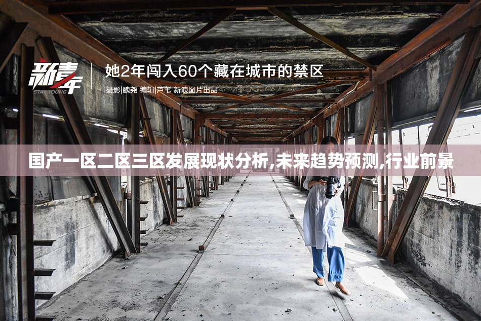 国产一区二区三区发展现状分析,未来趋势预测,行业前景
