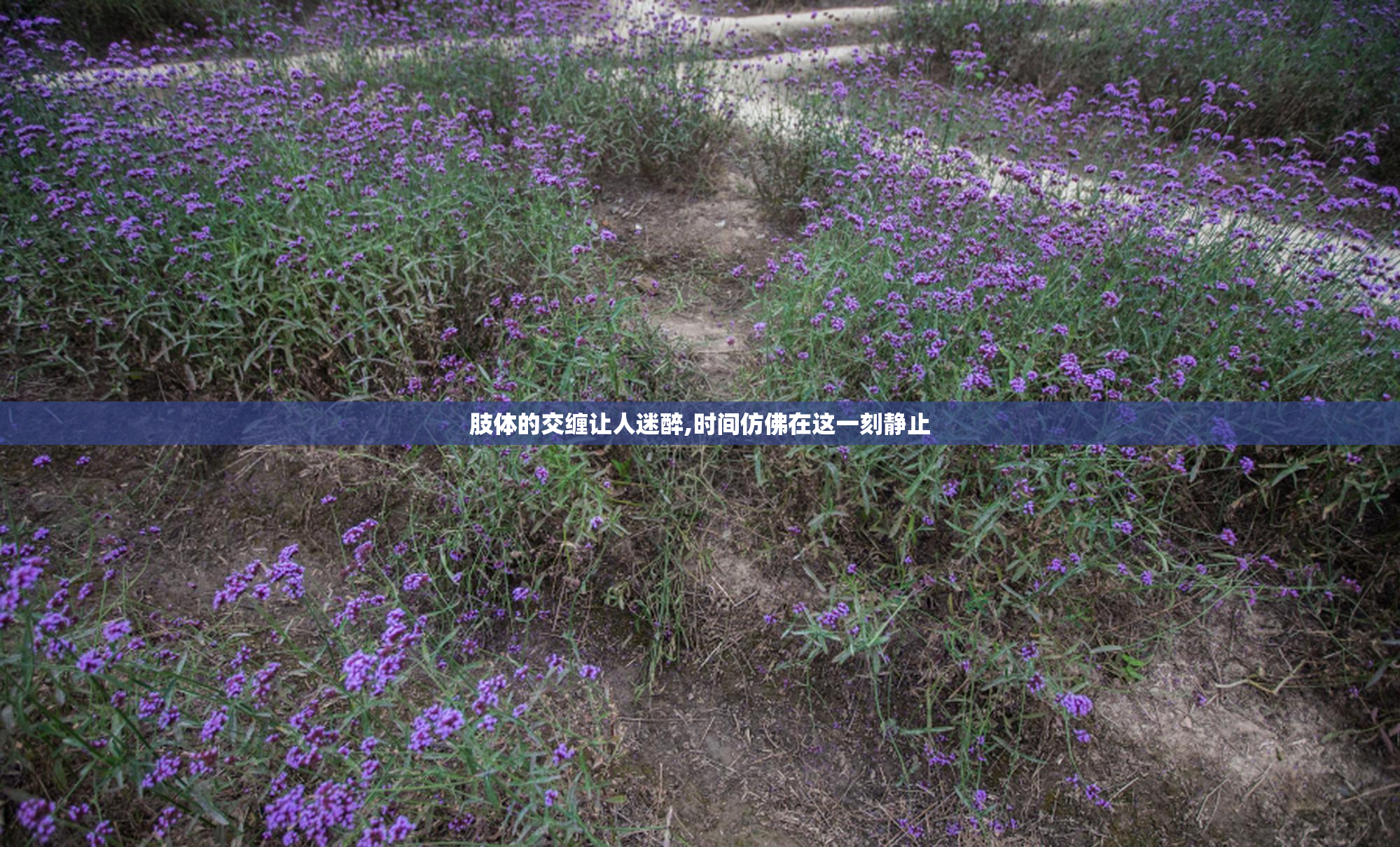 肢体的交缠让人迷醉,时间仿佛在这一刻静止
