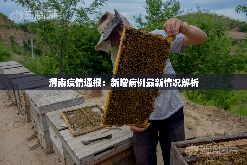渭南疫情通报：新增病例最新情况解析