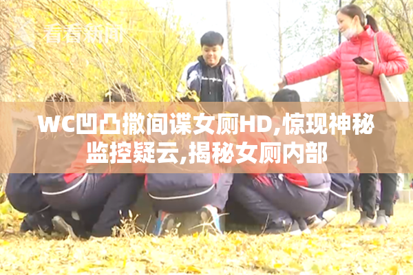 WC凹凸撒间谍女厕HD,惊现神秘监控疑云,揭秘女厕内部