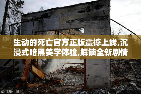 生动的死亡官方正版震撼上线,沉浸式暗黑美学体验,解锁全新剧情章节