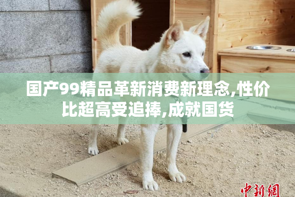 国产99精品革新消费新理念,性价比超高受追捧,成就国货
