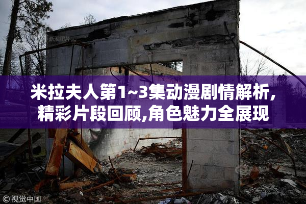 米拉夫人第1~3集动漫剧情解析,精彩片段回顾,角色魅力全展现