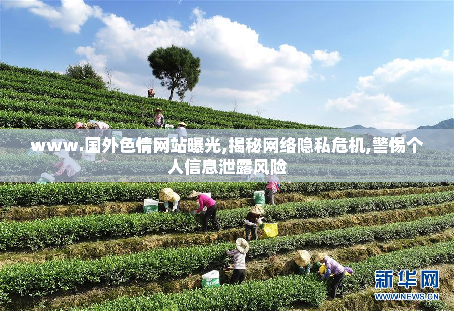 www.国外色情网站曝光,揭秘网络隐私危机,警惕个人信息泄露风险