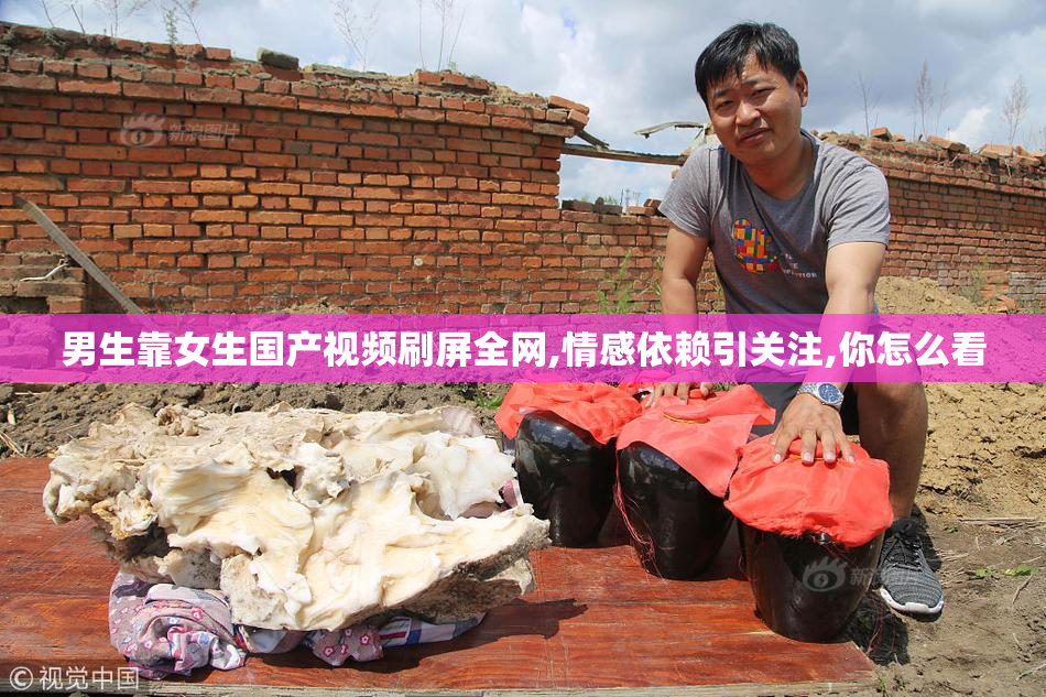 男生靠女生国产视频刷屏全网,情感依赖引关注,你怎么看