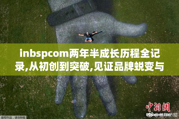 inbspcom两年半成长历程全记录,从初创到突破,见证品牌蜕变与数据