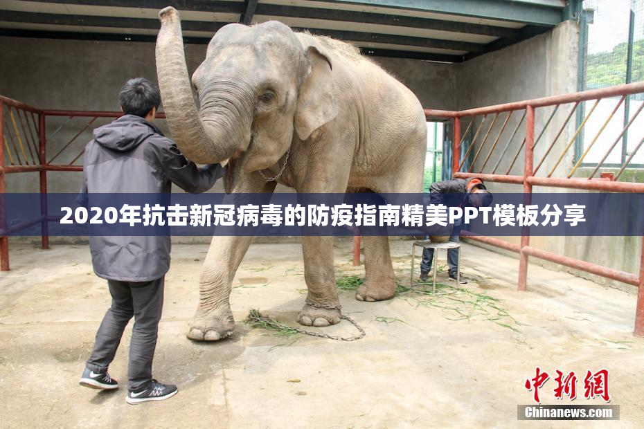 2020年抗击新冠病毒的防疫指南精美PPT模板分享
