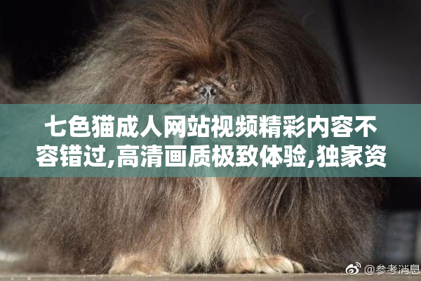 七色猫成人网站视频精彩内容不容错过,高清画质极致体验,独家资源