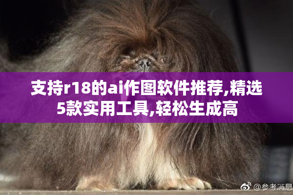支持r18的ai作图软件推荐,精选5款实用工具,轻松生成高