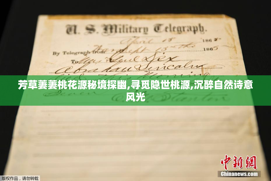 芳草萋萋桃花源秘境探幽,寻觅隐世桃源,沉醉自然诗意风光
