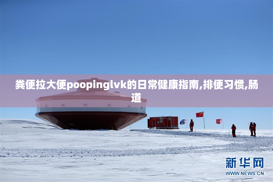 粪便拉大便poopinglvk的日常健康指南,排便习惯,肠道